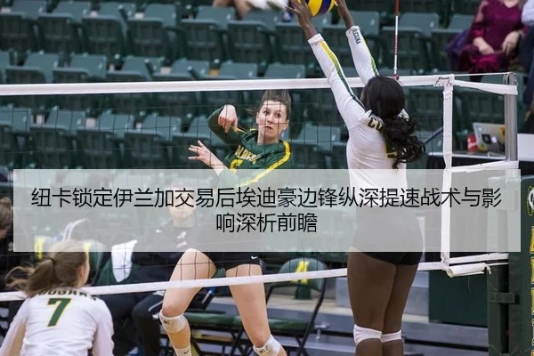 纽卡锁定伊兰加交易后埃迪豪边锋纵深提速战术与影响深析前瞻