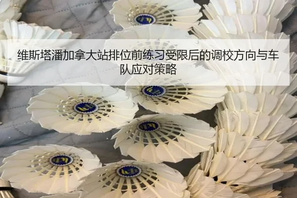 维斯塔潘加拿大站排位前练习受限后的调校方向与车队应对策略